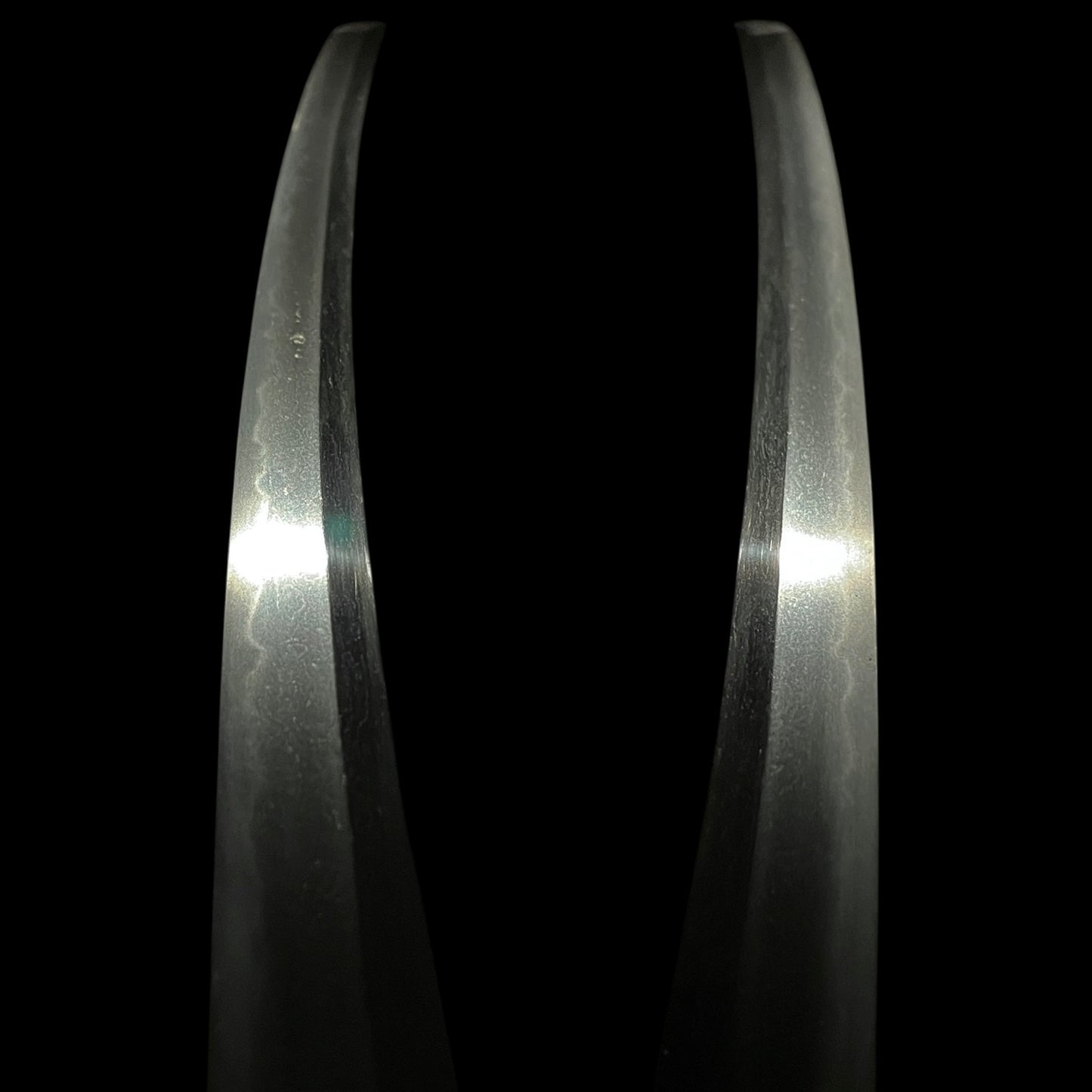 AOIMON 葵紋 Shinanokami Nobuyoshi 信濃守信吉 signed WAKIZASHI, Early Edo period