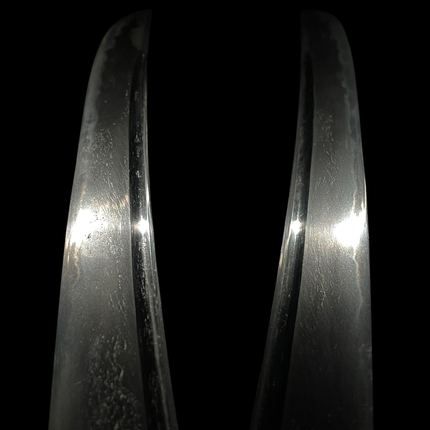 Shrimp Koshirae 海老拵, Hirazukuri Wakizashi, with Brass Kogai, Edo period mumei