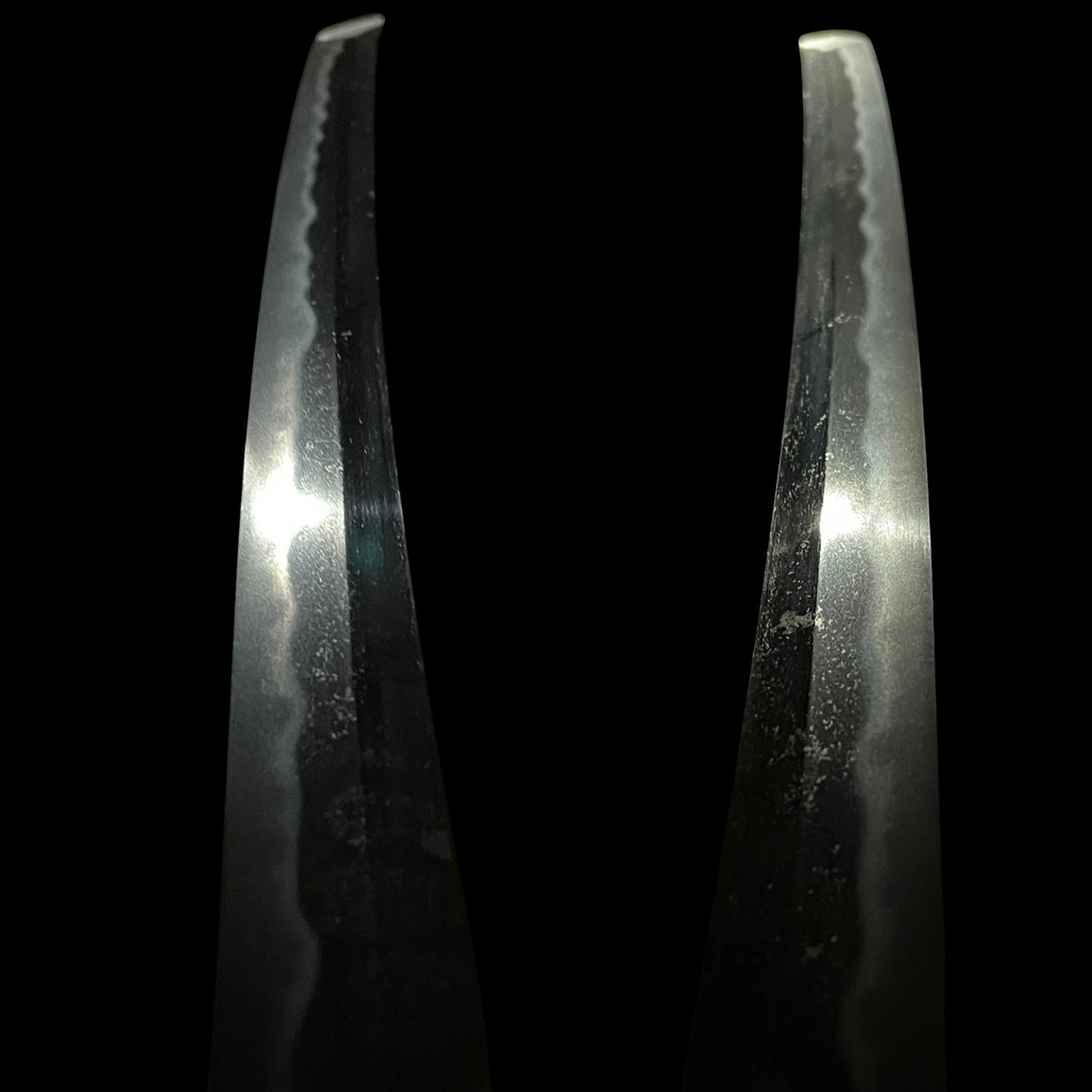 Mutsunokami Kaneyasu 陸奥守包保 (Hidarimutsu 左陸奥) signed Long Wakizashi, Early Edo period