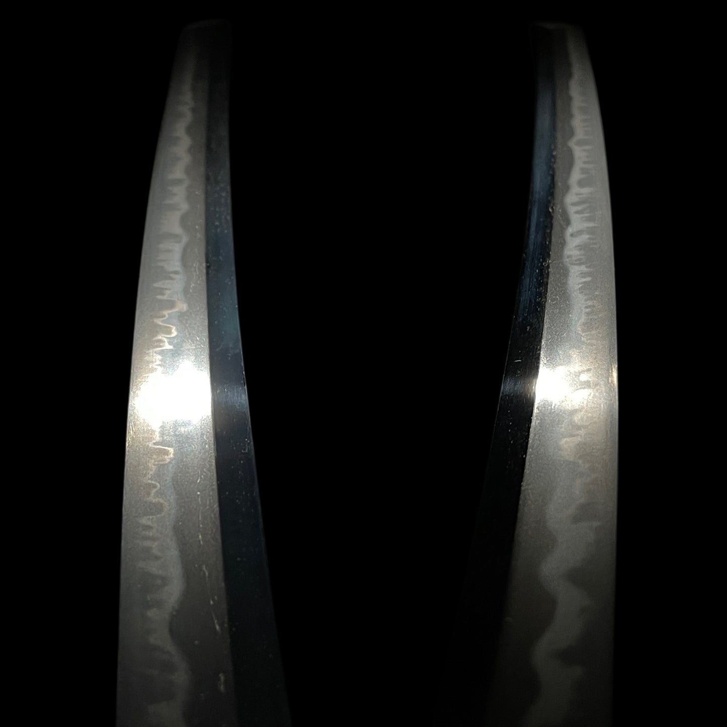 Amazing Hamon, Dragon Fittings Wakizashi, Takada Muneyuki 高田統行, Early Edo period