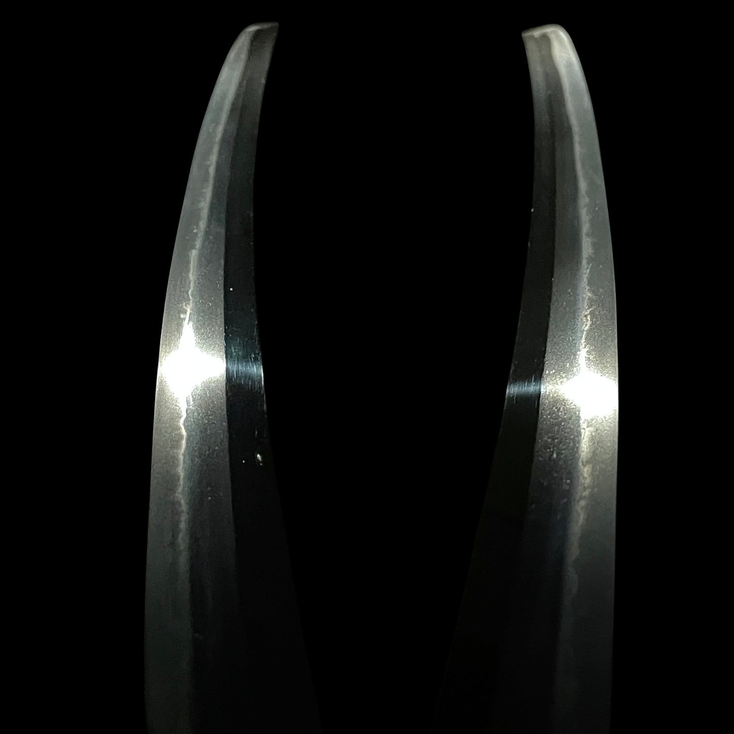 Bakumatsu era KATANA in Shirasaya, Sturdy Blade, Late Edo period mumei