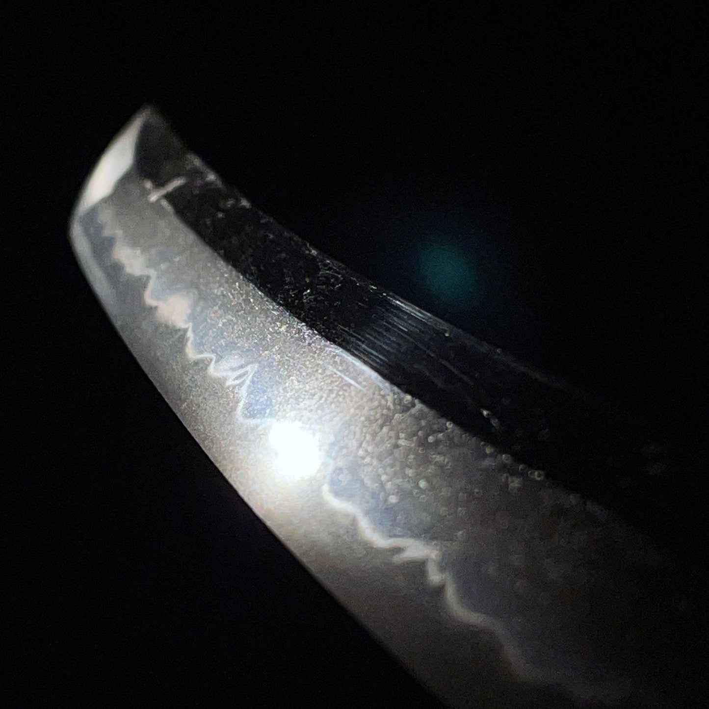 Large Kissaki Wakizashi, Shell Fuchikashira 貝縁頭, Edo period mumei