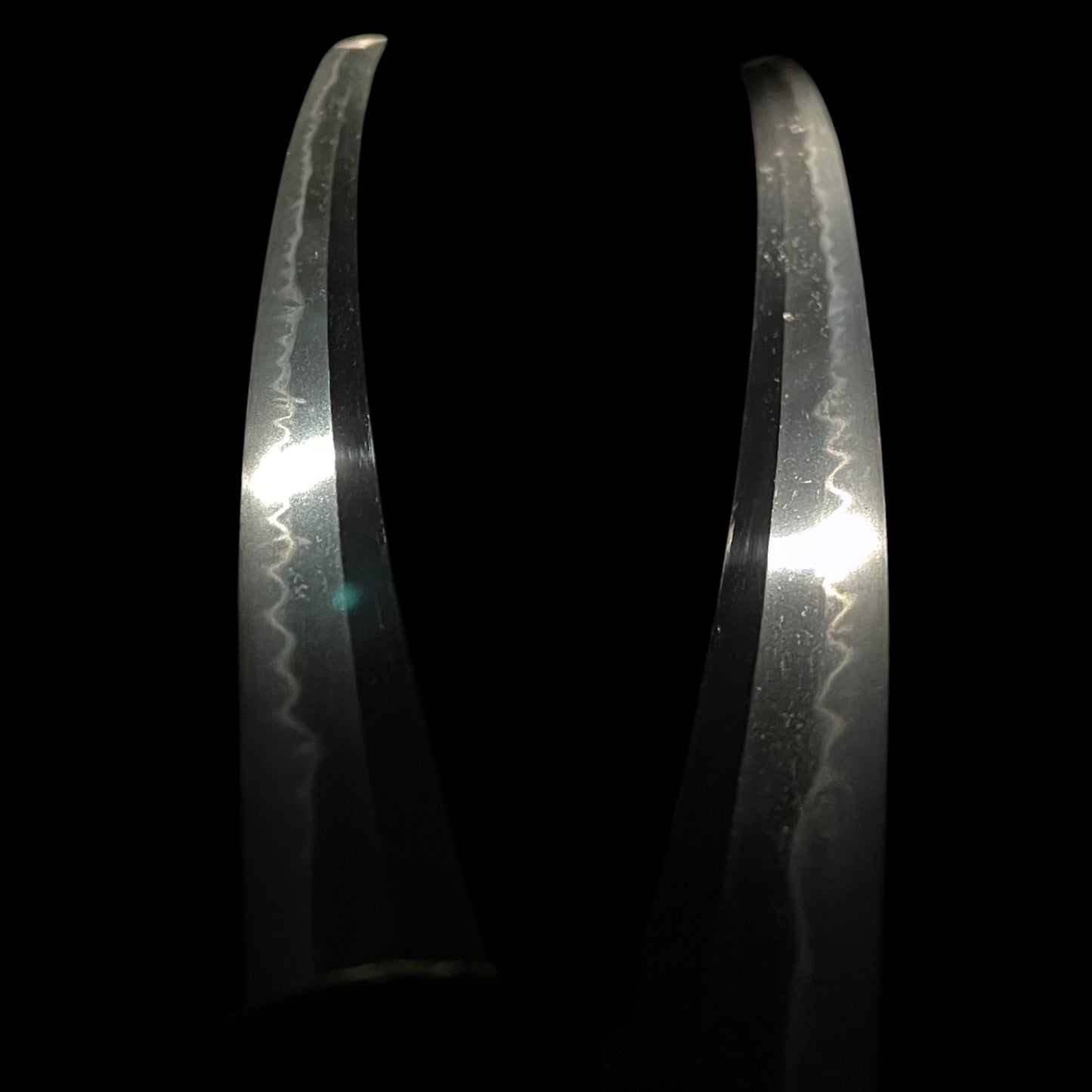 Dragon Fuchikashira Long Wakizashi, Silver Kashu Habaki, Edo period mumei
