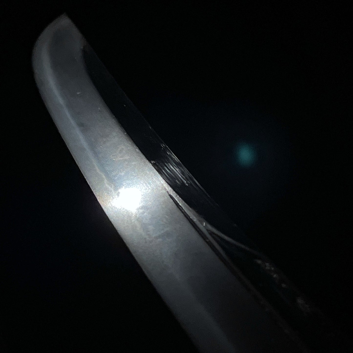 Naginata Naoshi Zukuri 薙刀直造 Wakizashi, Nakayama Ikkansai Yoshihiro 中山一貫斉義弘, Edo period