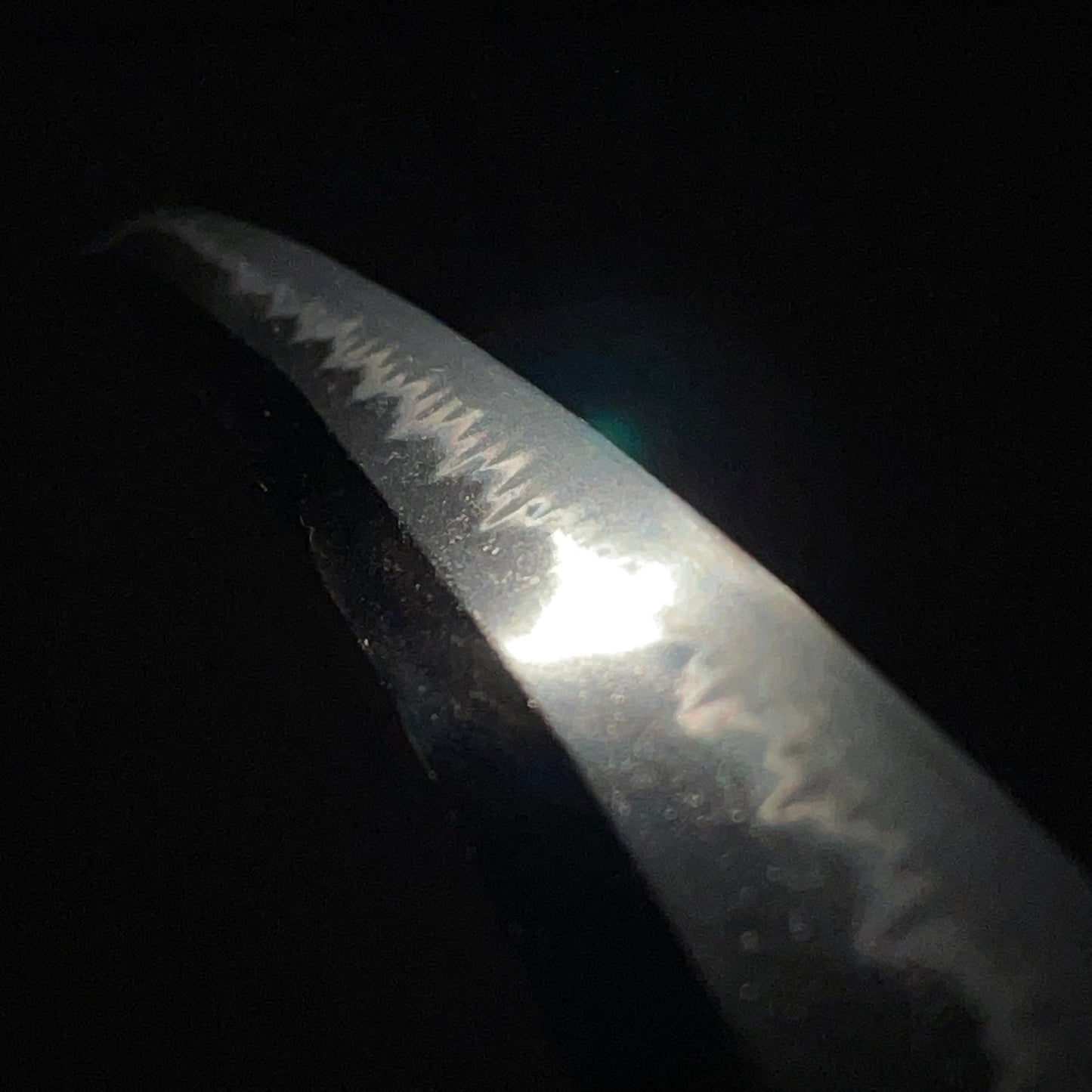 Kozukenokami Fujiwara Jumyo 上野守藤原壽命 signed Long Wakizashi, NBTHK Certificate