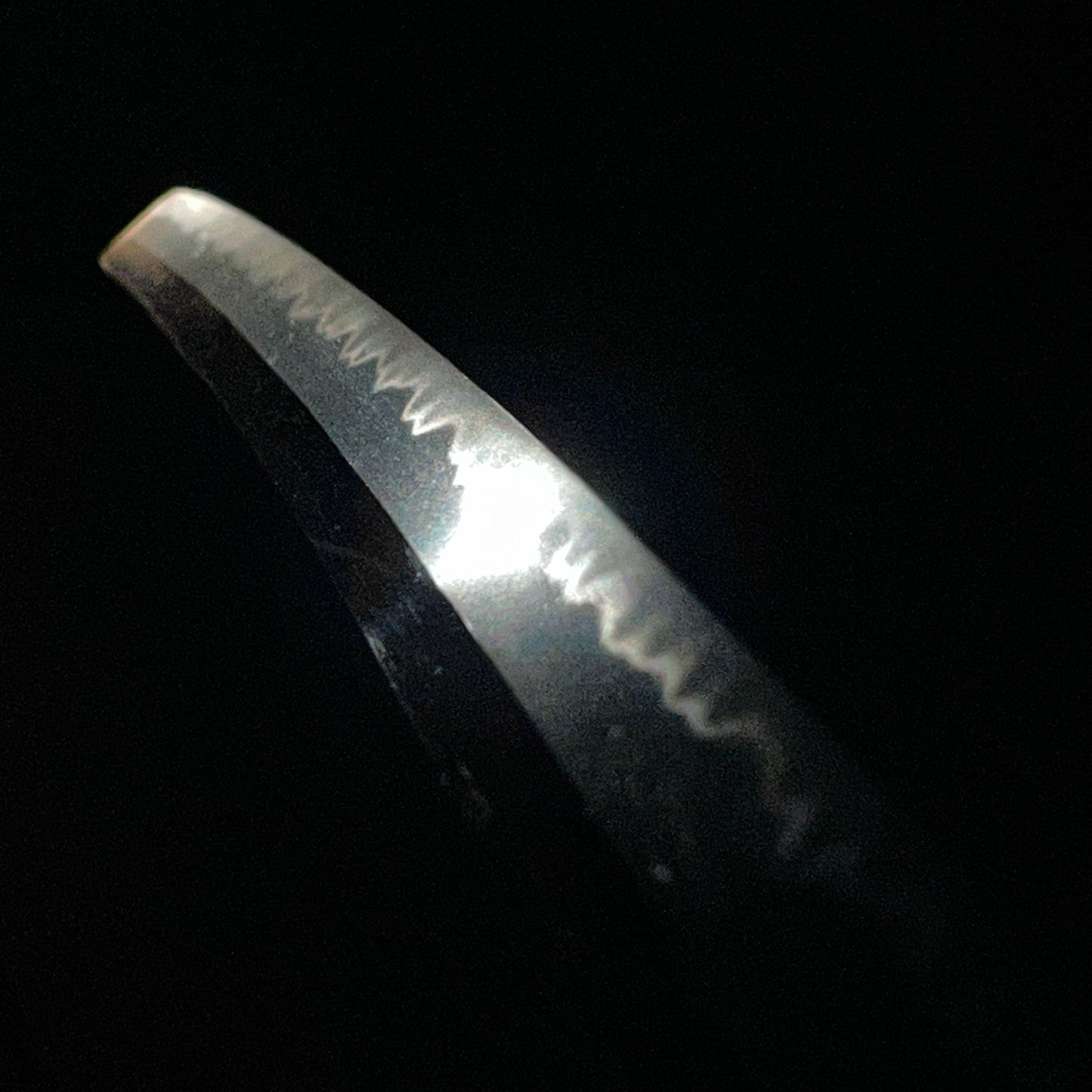 Ryakushiki-GUNTO 略式軍刀, Bushuju Fujiwara Kane 武州藤原兼 signed, WW2 Japanese Officer Sword