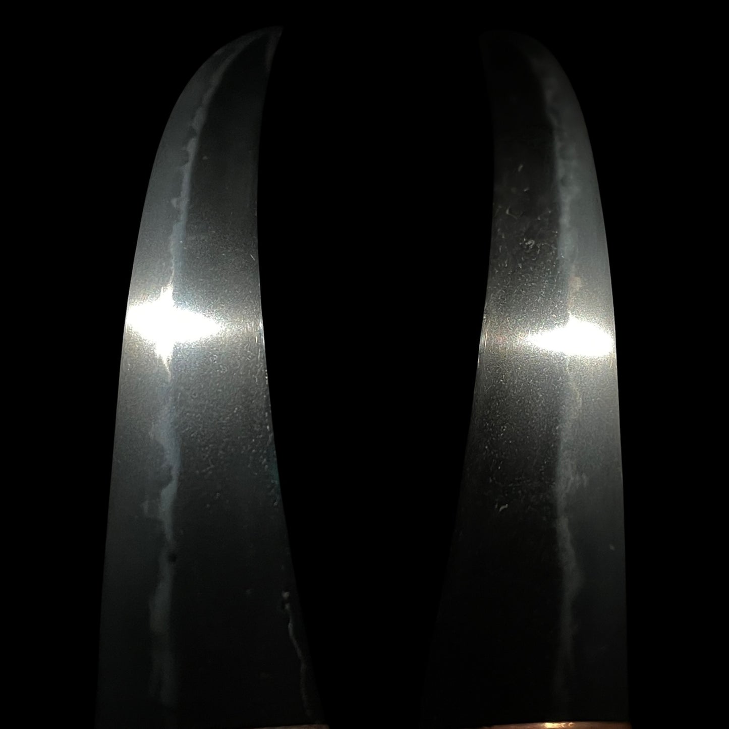 Radensaya 螺鈿鞘 Wide Hirazukuri Wakizashi, Izuminokami Kanesada signed, Plum Fittings