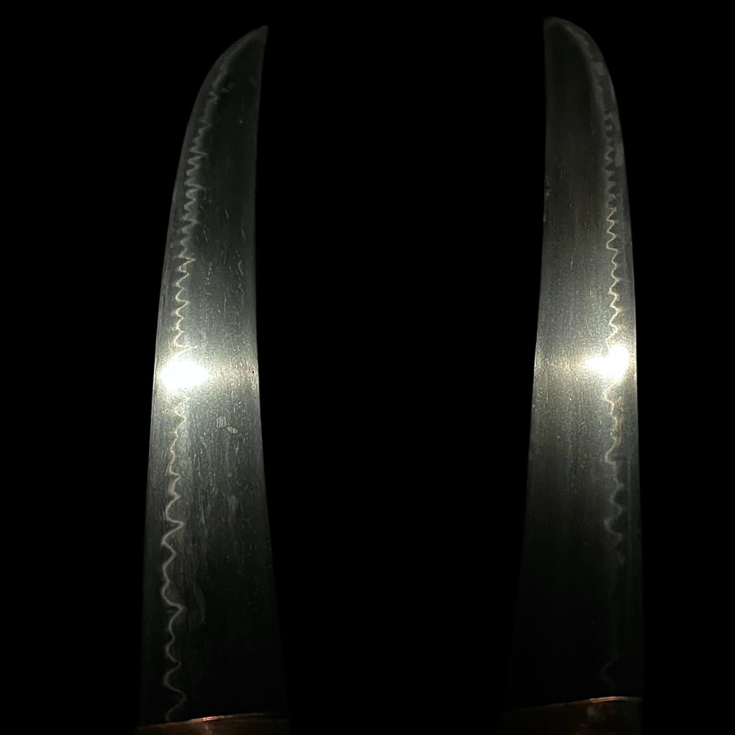 Shinshinto Jumyo 新々刀寿命, Hirazukuri Wakizashi, Late Edo period, NBTHK Certificate