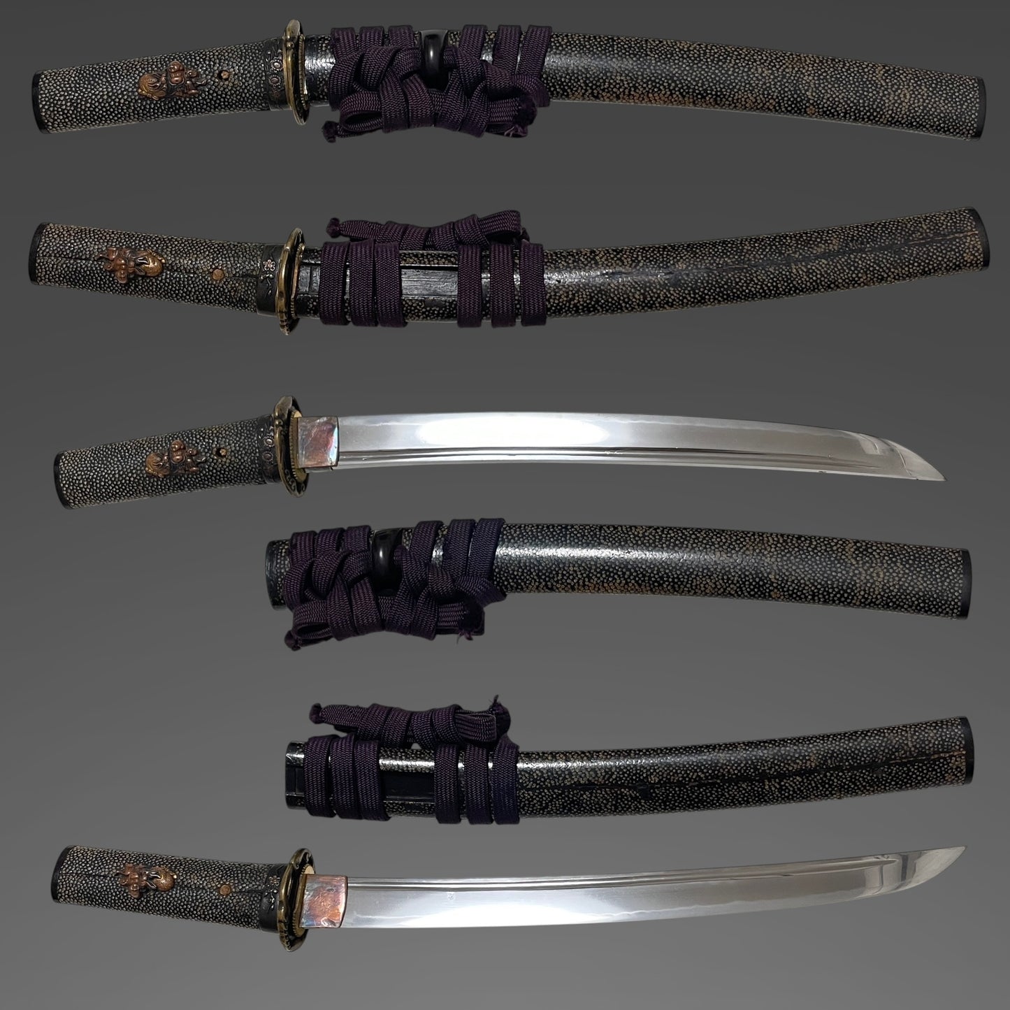 Rayskin Koshirae 鮫皮研出拵, Jumyo 壽命 Wakizashi, Muromachi period, with Shirasaya