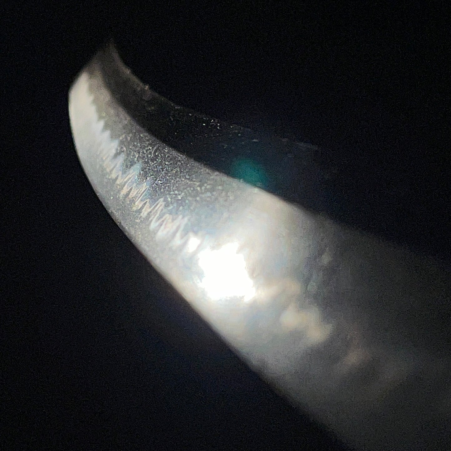 Sue-Seki 末関 Long Wakizashi, KOTO Muromachi period, NBTHK Certificate