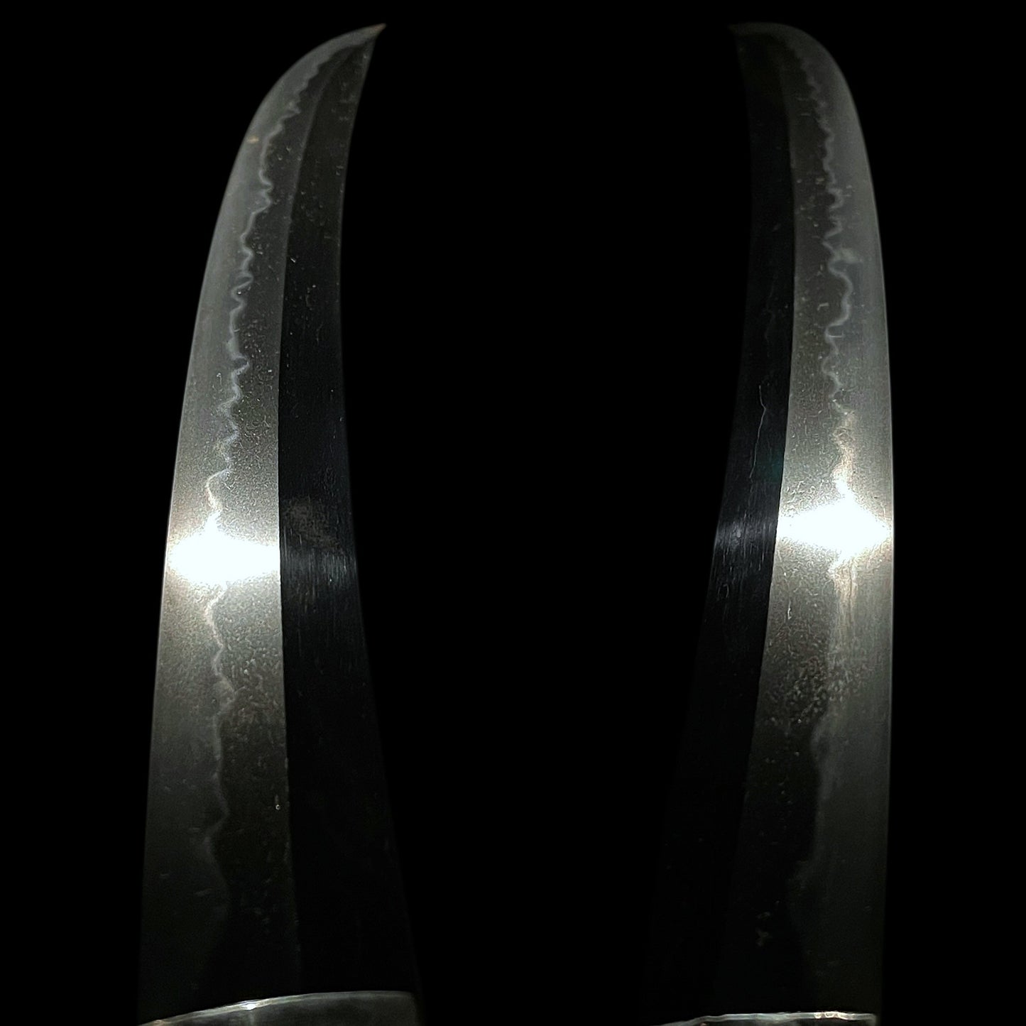 Shobuzukuri Wide Wakizashi, Osumizo Fujiwara Masahiro signed, with Shirasaya