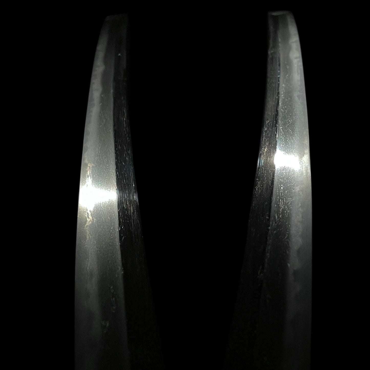 Black Wakizashi, Japanese pampas grass Tsuba, Edo period mumei
