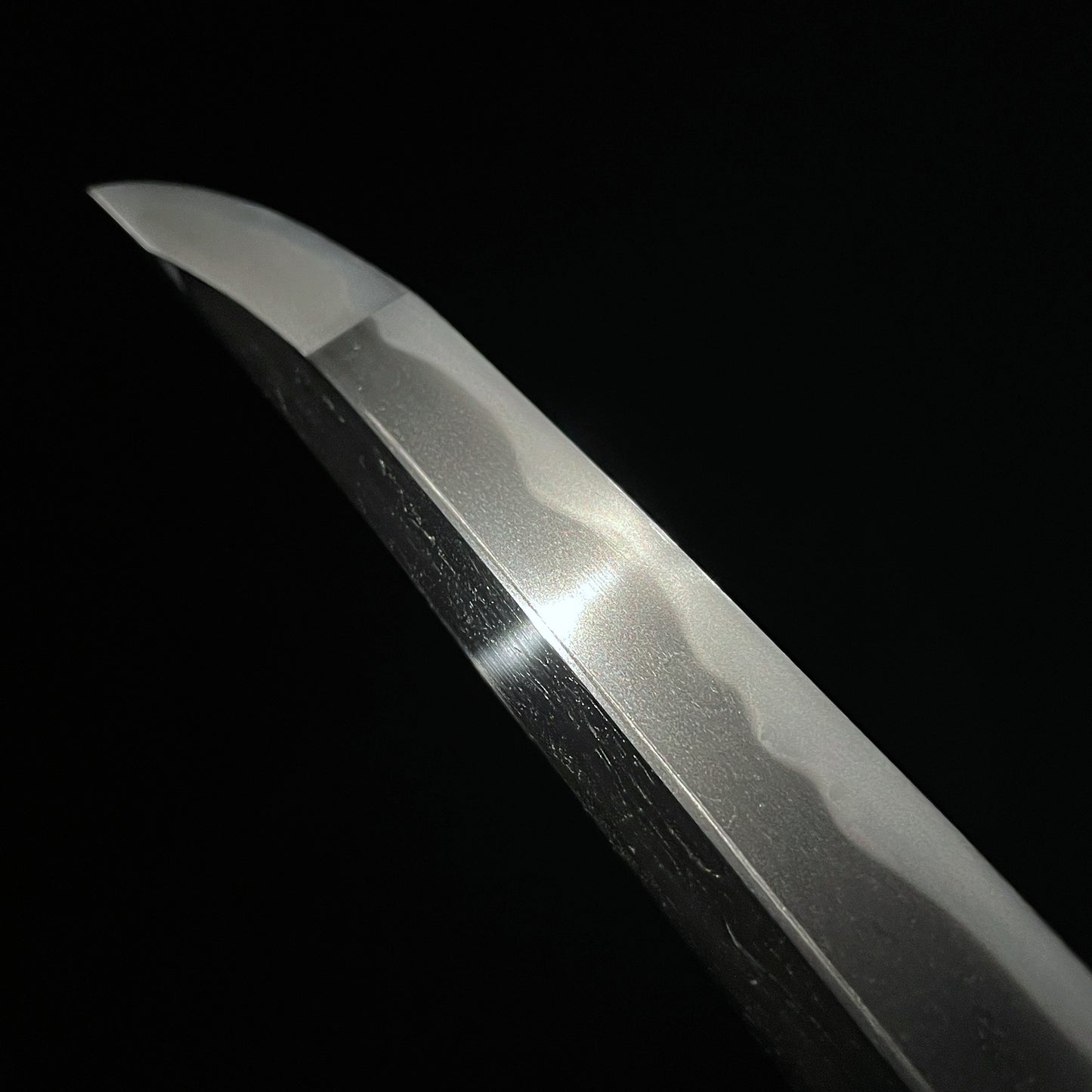 Ookissaki Nagamakinaoshi-Zukuri 長巻直造 Wakizashi, Ecchunokami Takahira signed