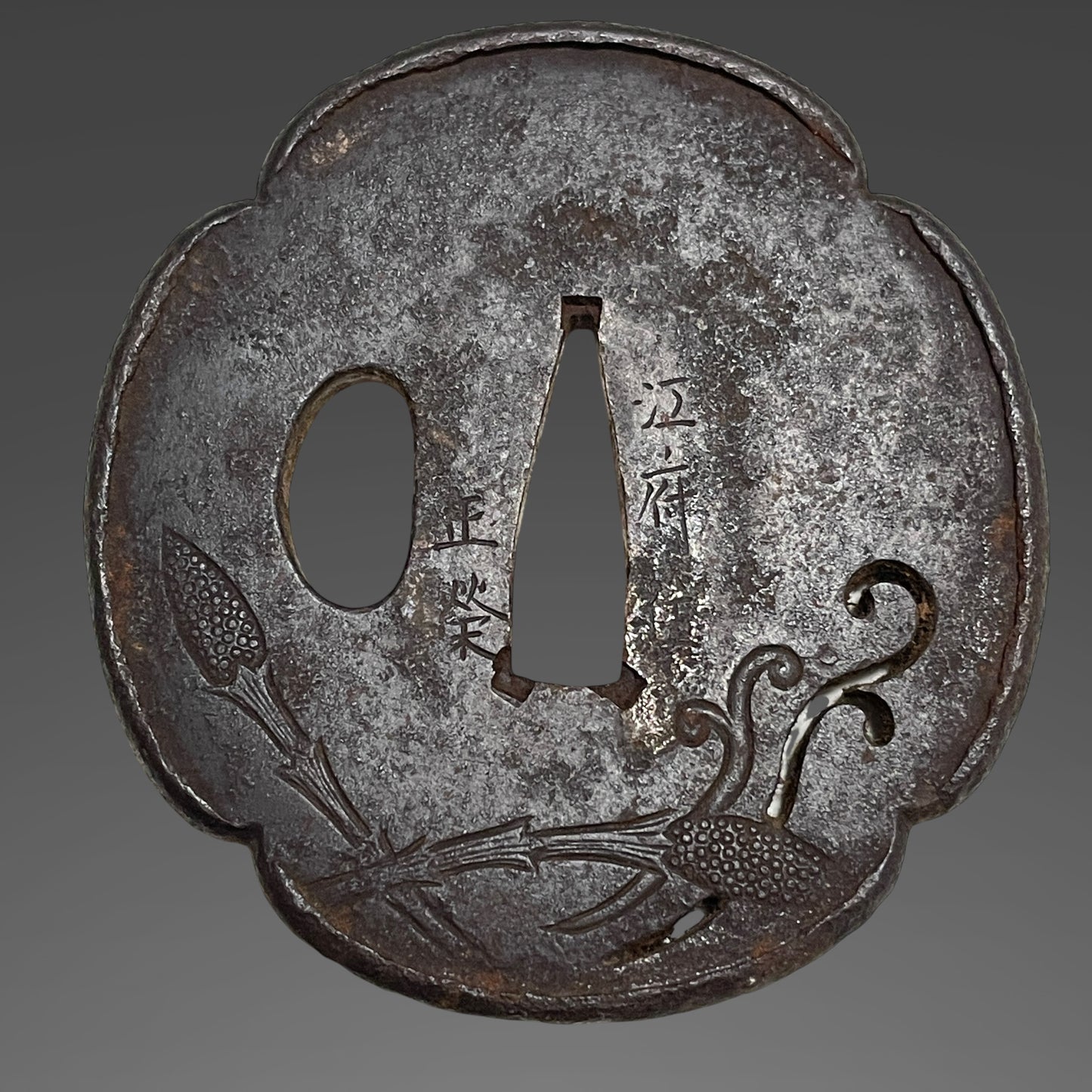Hidanokami Fujiwara Ujifusa 飛騨守藤原氏房 signed Wakizashi, Horsetail Tsuba, Early Edo period