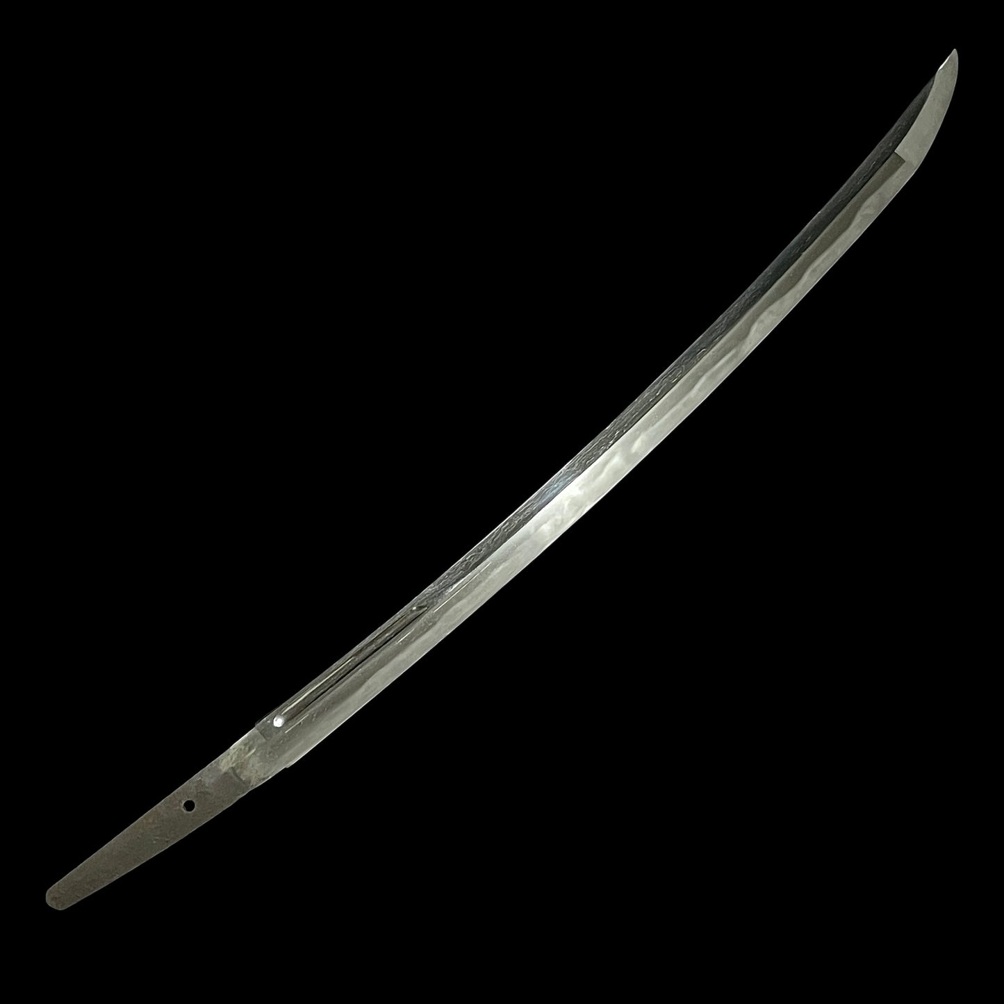 NAGAMAKI NAOSHI ZUKURI 長巻直造 Wakizashi, Ookissaki 大切先, Echizenkoku Kanetane 越前国兼植 signed