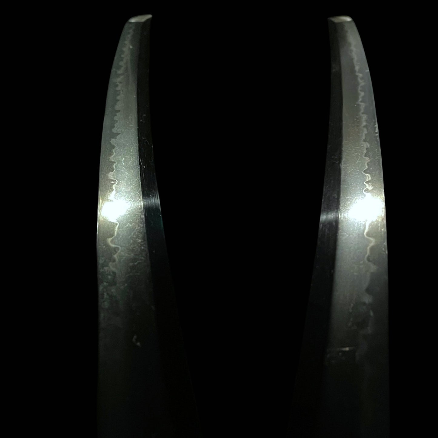 Black Wakizashi, Shakudo Shishi Fuchikashira, Edo period mumei