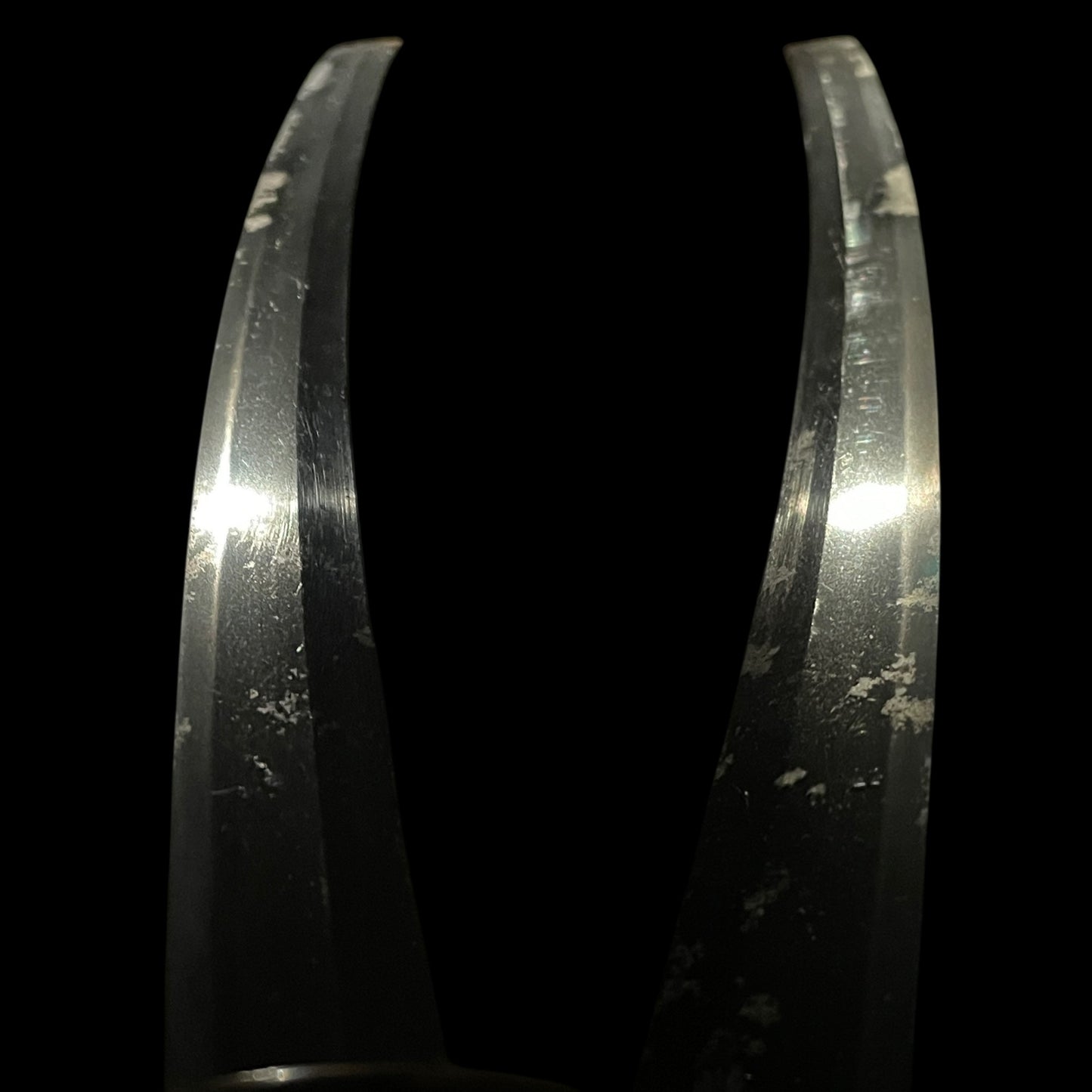 Ryakushiki-GUNTO 略式軍刀, Hishu Dewanokami Yukihiro 肥州出羽守行廣 signed