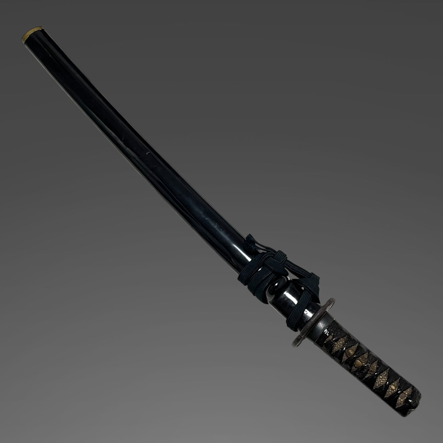 Hidanokami Fujiwara Ujifusa 飛騨守藤原氏房 signed Wakizashi, Horsetail Tsuba, Early Edo period