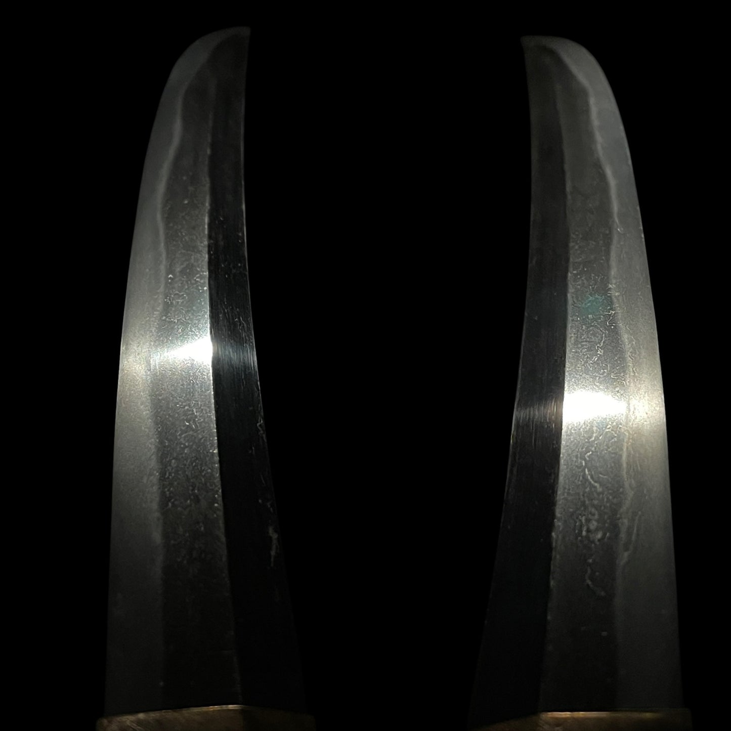Shimosaka 下坂, Shobuzukuri Wide Wakizashi, Edo period, NBTHK Certificate