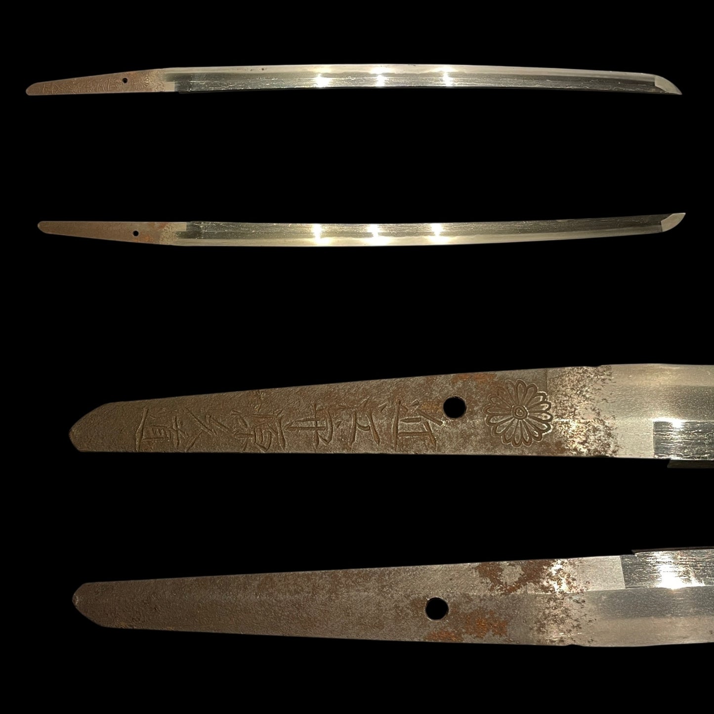 KIKUMON 菊紋 Chrysanthemum crest Long WAKIZASHI,  Ominokami Hisamichi 近江守久道 signed