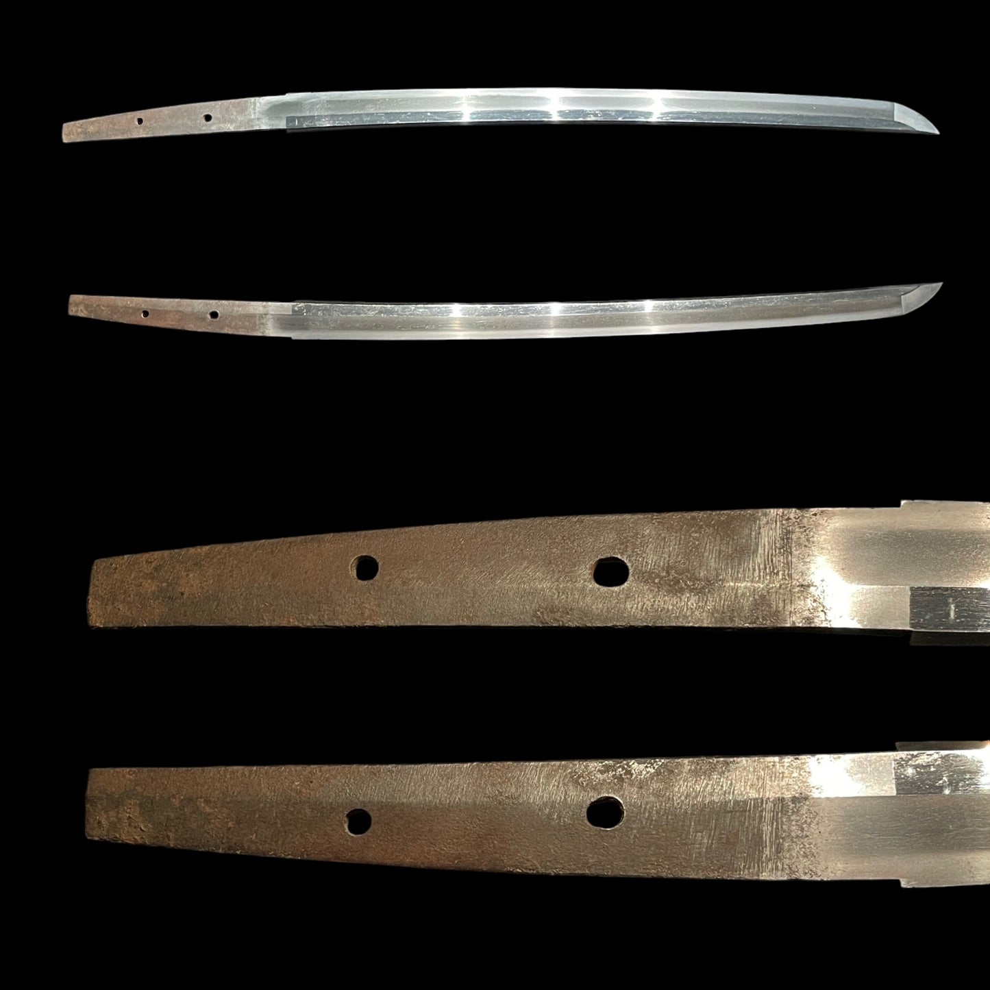 Ryu-Zukushi 龍尽くし, Dragon Fittings WAKIZASHI, Edo period mumei