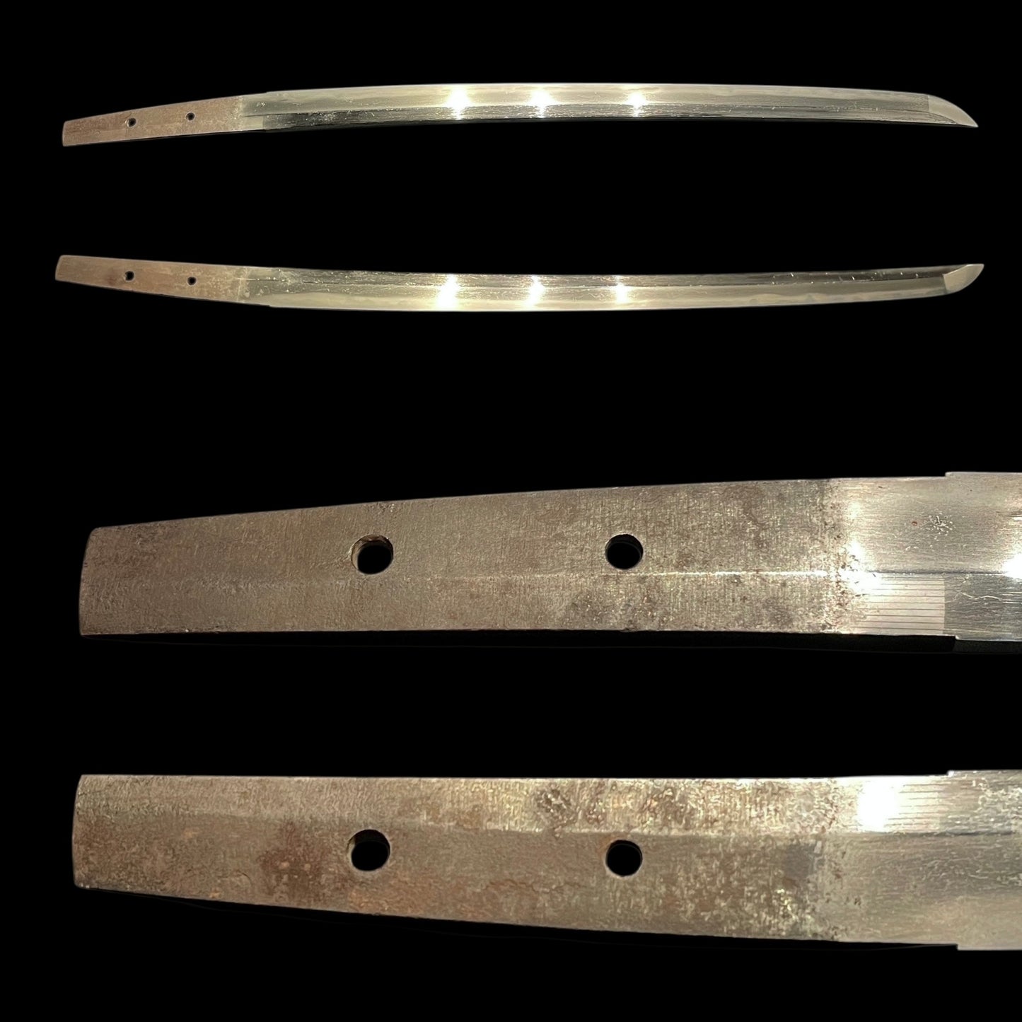 Black Wakizashi, Japanese pampas grass Tsuba, Edo period mumei