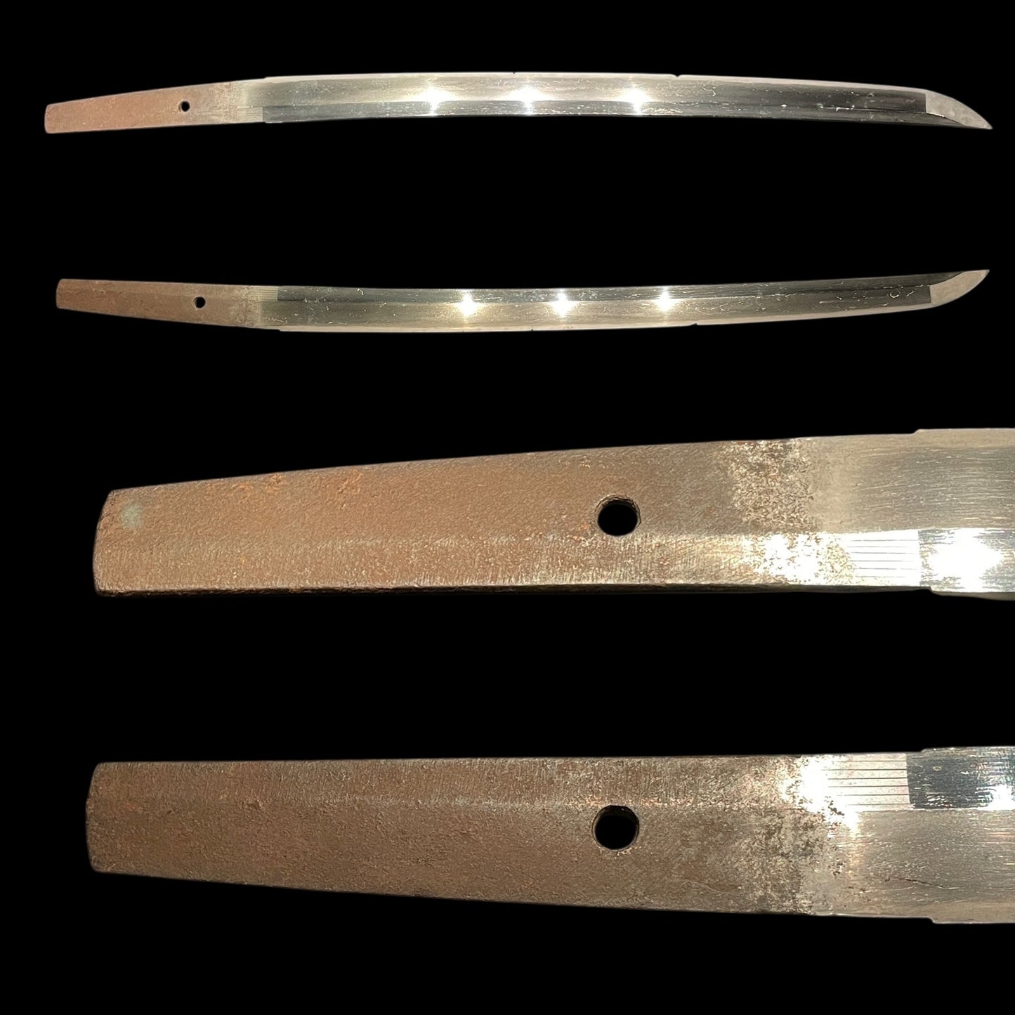 Autumn Plant Fittings Wakizashi, Susuki and Moon Tsuba, Edo period mumei