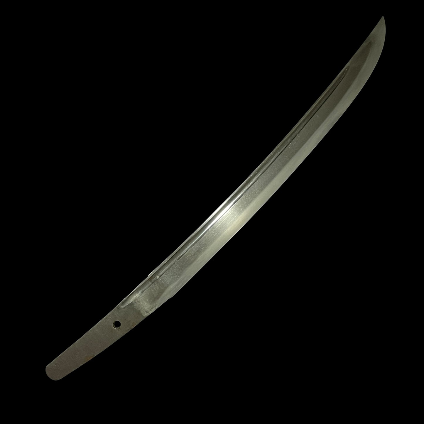Very Wide Shobuzukuri Wakizashi, Tadayoshi(4gen) 四代忠吉, NBTHK Certificate