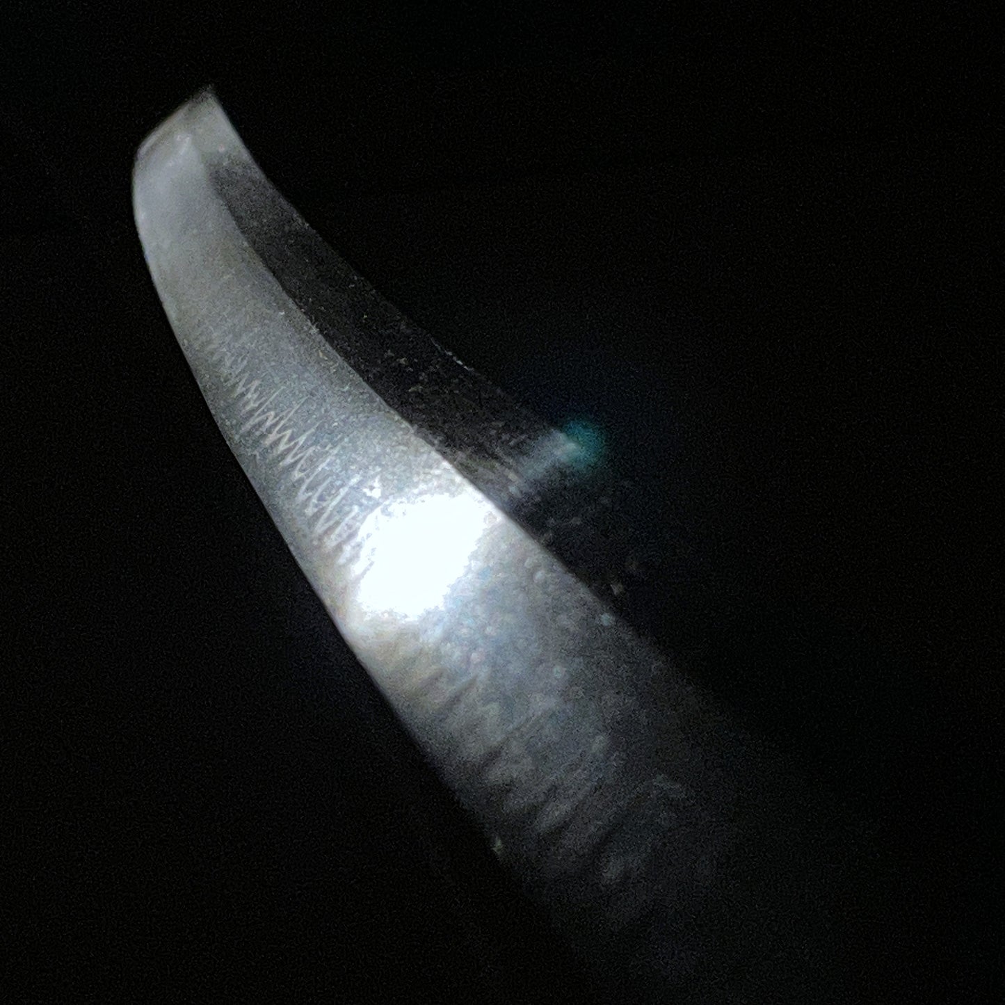 Tashiro Kanenobu 田代兼信 KATANA, Early Edo period, NBTHK Certificate