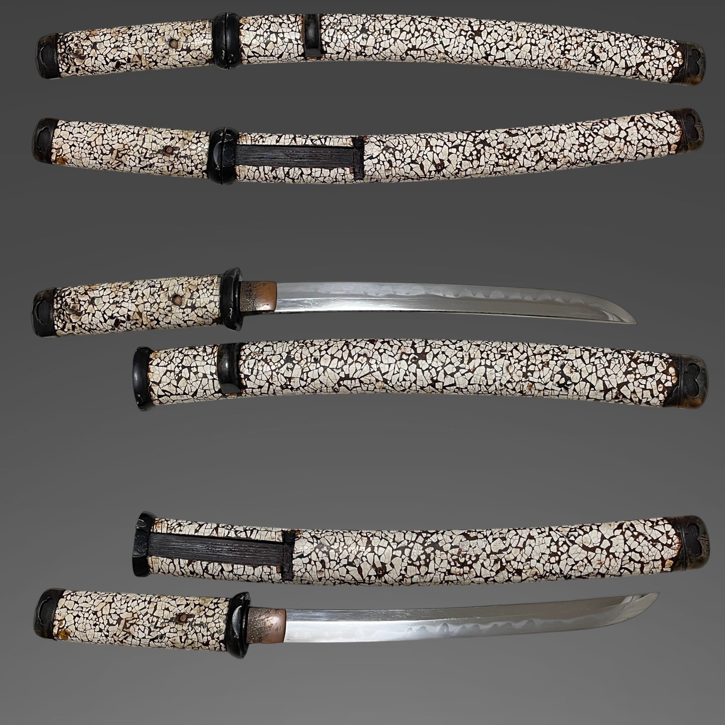 Rare Style Rankaku Koshirae 卵殻拵, Aikuchi Tanto, Edo period mumei