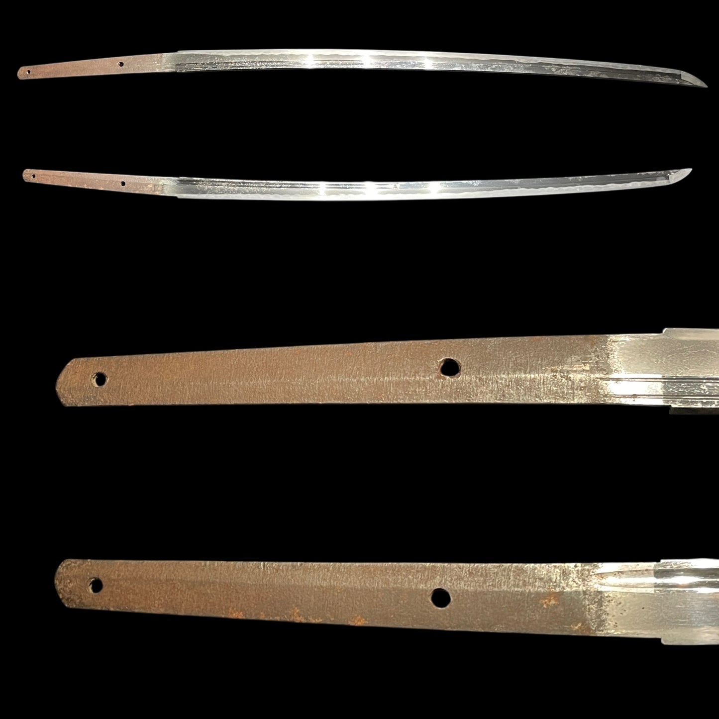 Daruma Fitting KATANA, Shell Tsuba, Gunome-Hamon, Edo period mumei