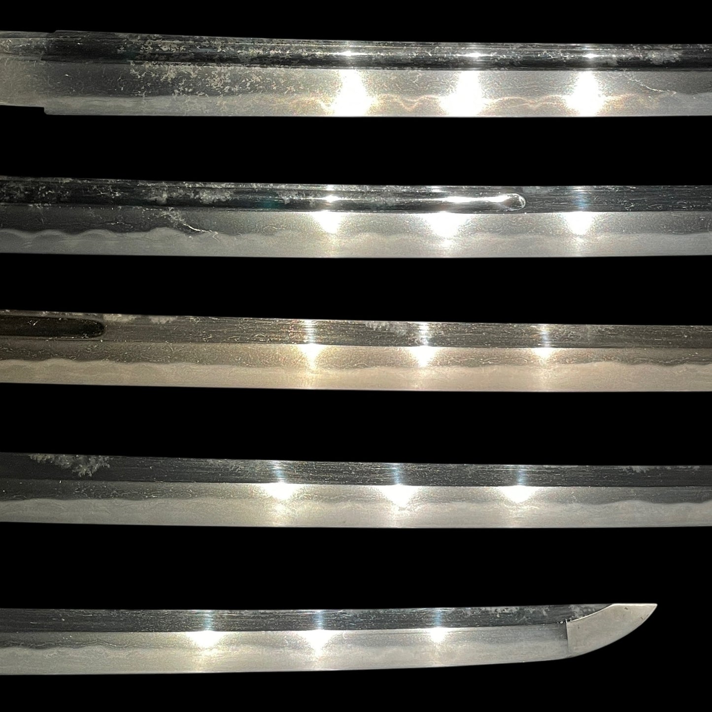 Daruma Fitting KATANA, Shell Tsuba, Gunome-Hamon, Edo period mumei