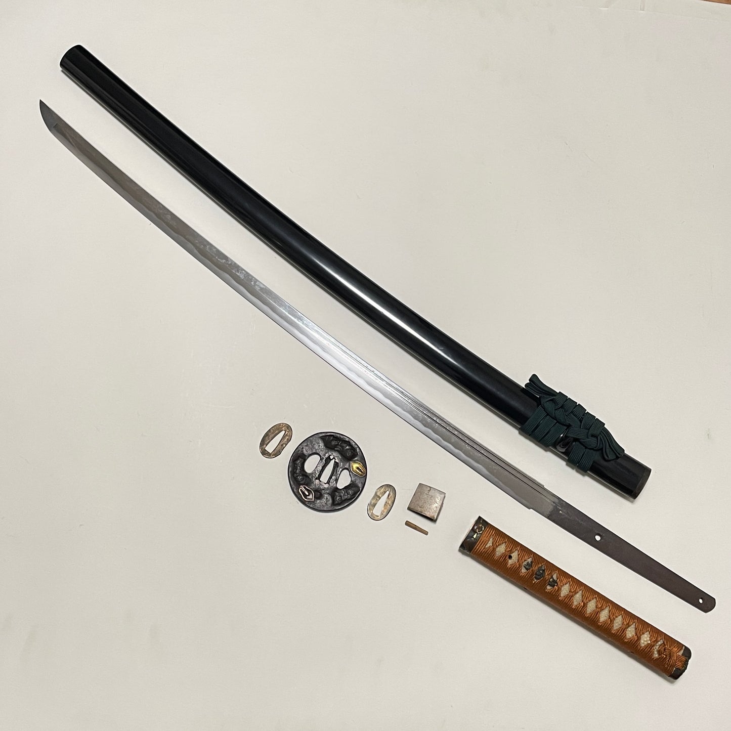 Daruma Fitting KATANA, Shell Tsuba, Gunome-Hamon, Edo period mumei